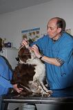 AUSCULTATION 067